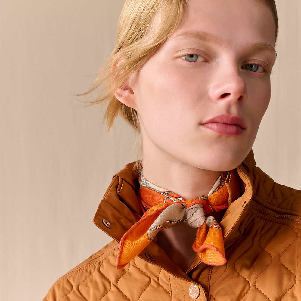 L'Instruction du Roy Bayadere scarf 45 - Brown | Hermès Macau SAR